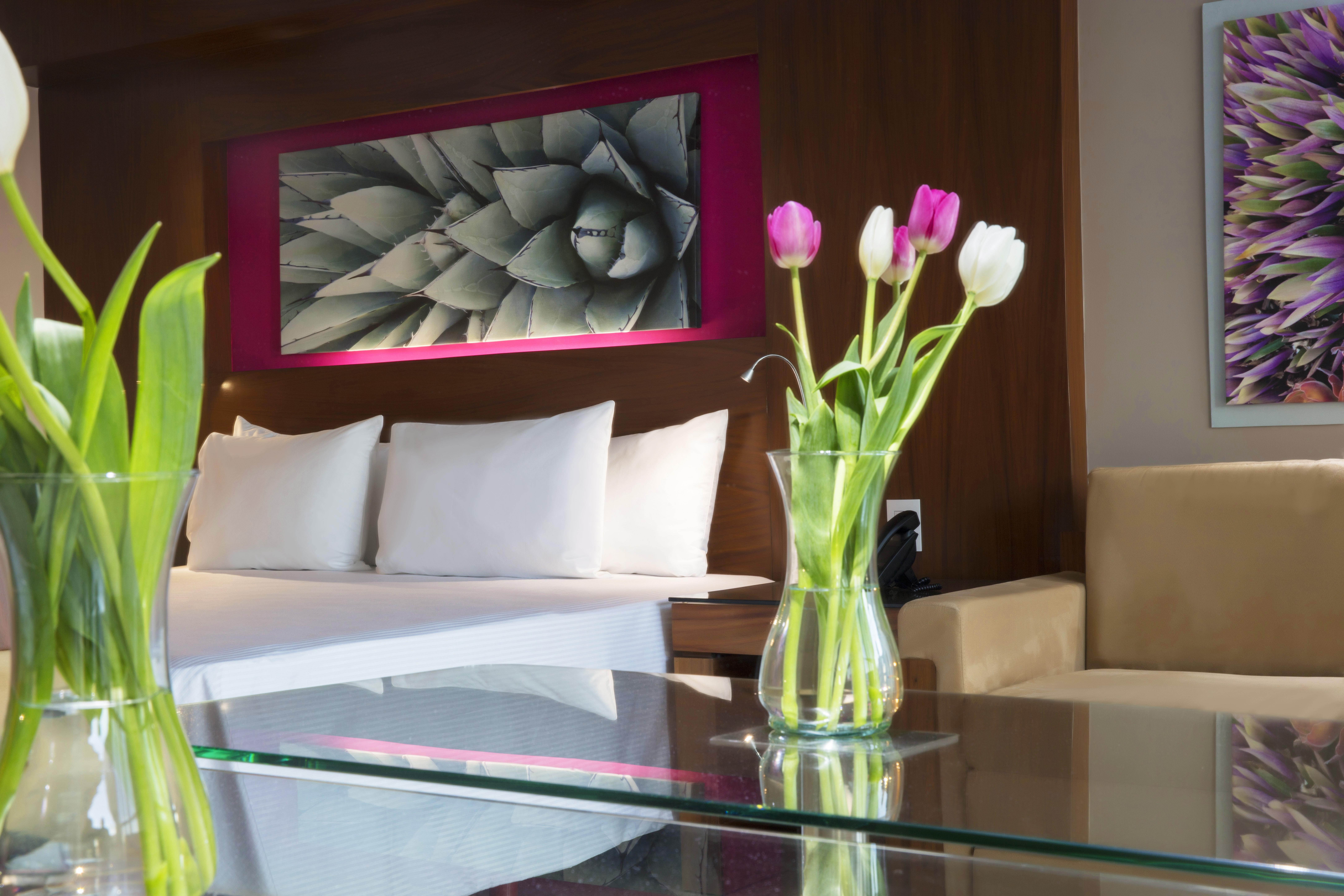 Krystal Grand Los Cabos San José del Cabo Екстериор снимка